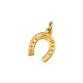Fortune Charm