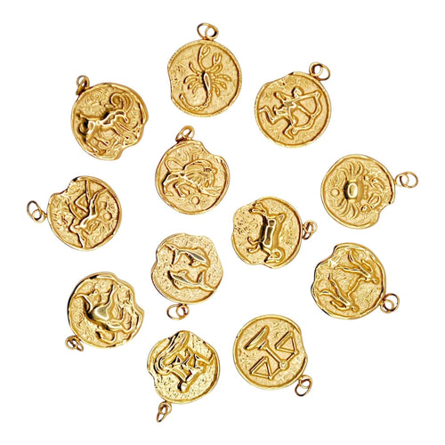 Capricorn Charm