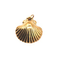 Little Shell Charm