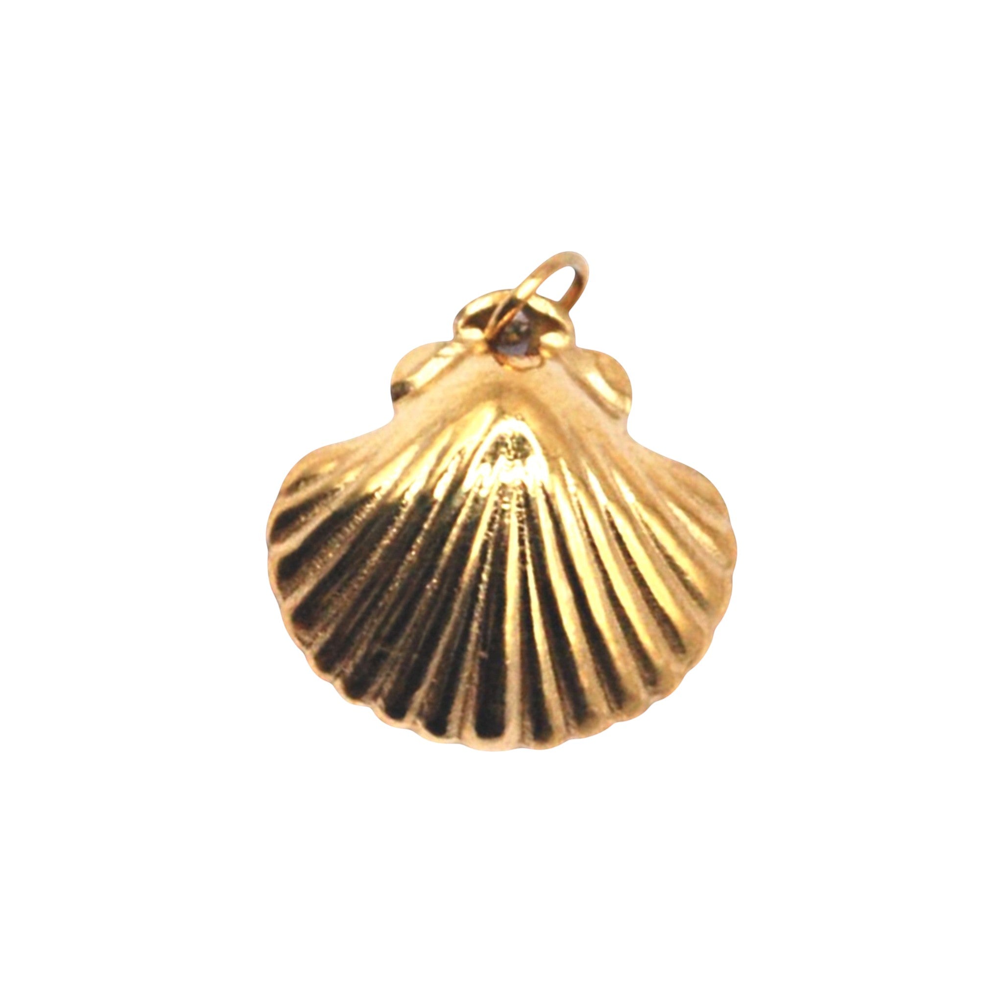 Little Shell Charm