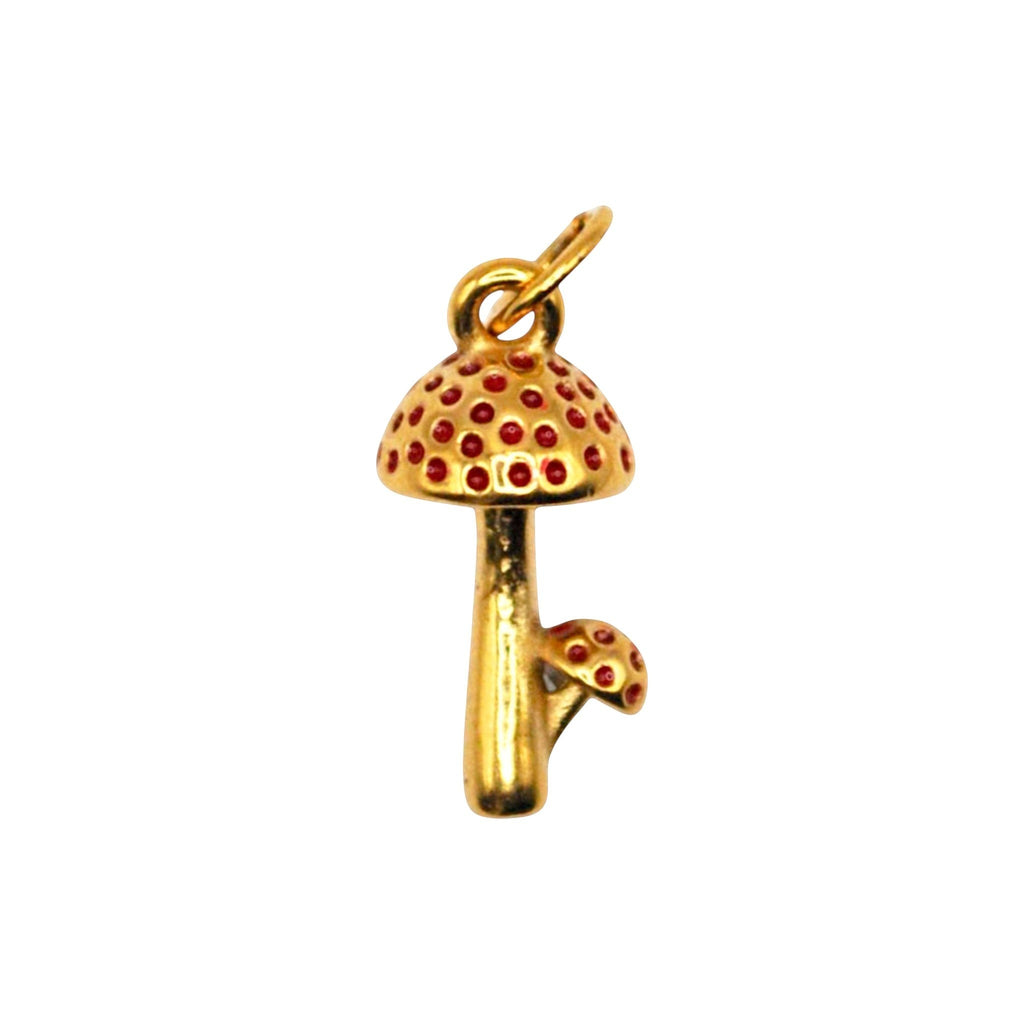 Happy shrooms Charm