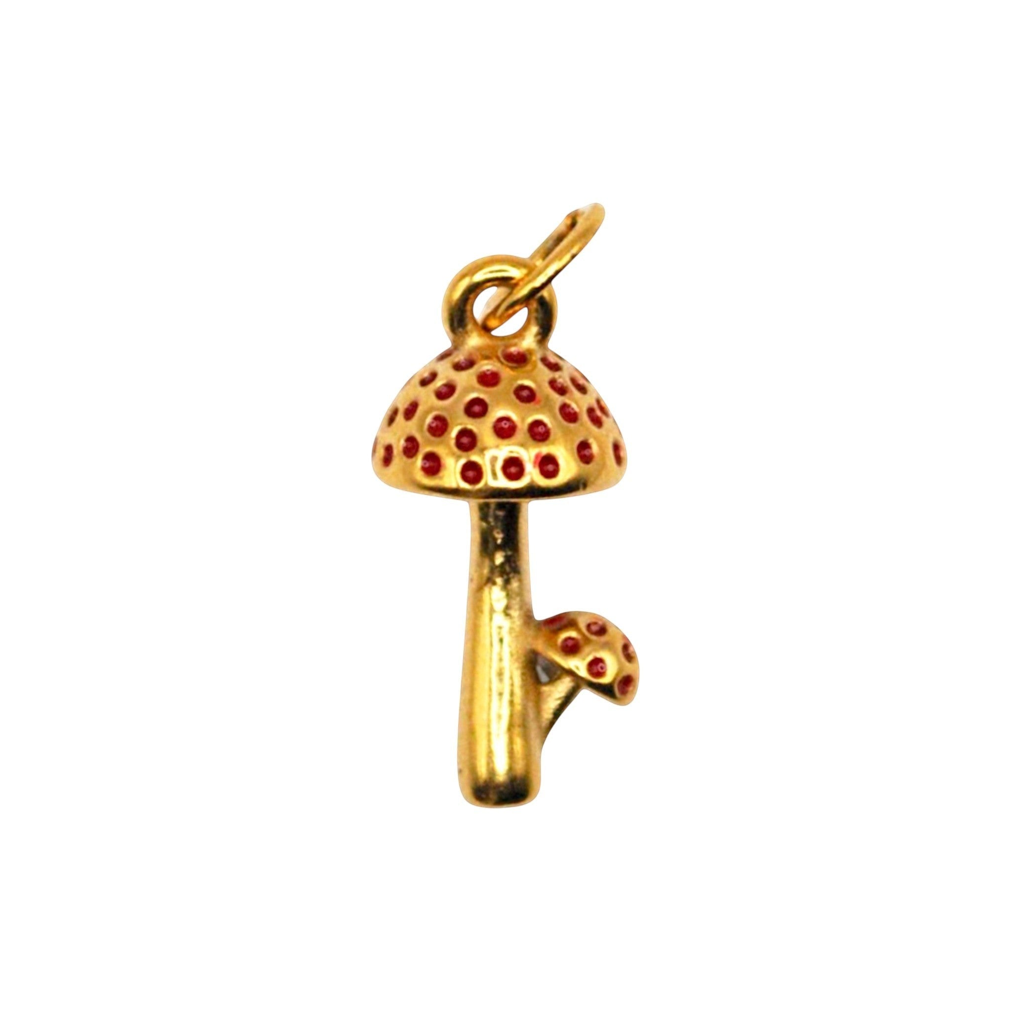 Happy shrooms Charm
