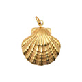 Ocean Shell Charm